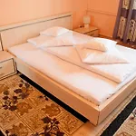 Maison d'hôtes Pensiunea Vlad