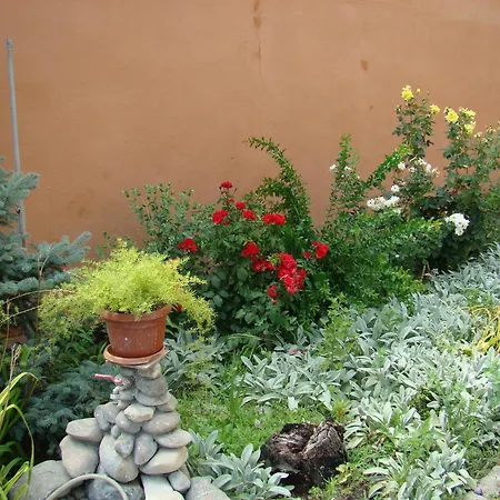 Maison d'hôtes Pensiunea Vlad