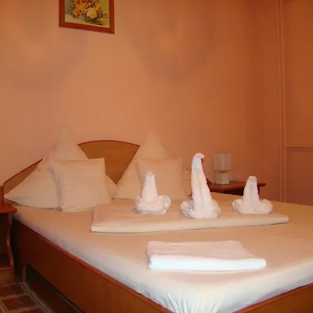 Pensiunea Vlad Тімішоара