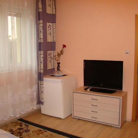 Maison d'hôtes Pensiunea Vlad