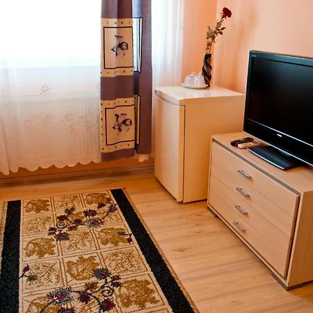 Pensiunea Vlad Гостьовий будинок Тімішоара