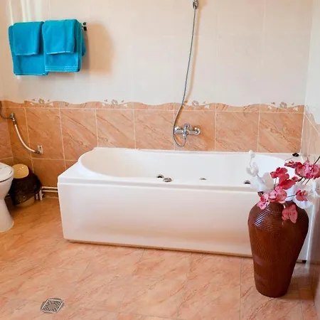 Maison d'hôtes Pensiunea Vlad Timişoara