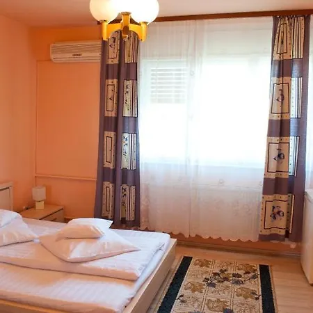 Pensiunea Vlad 3* Тімішоара