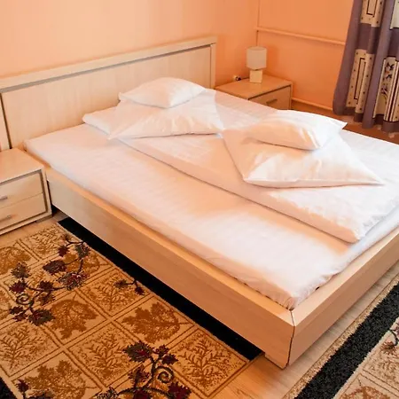 Maison d'hôtes Pensiunea Vlad