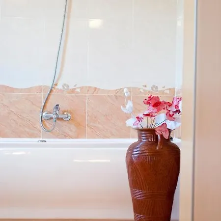 Pensiunea Vlad Maison d'hôtes