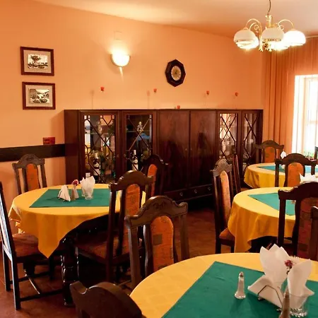 Pensiunea Vlad 3* Тімішоара