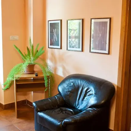 Pensiunea Vlad Тімішоара