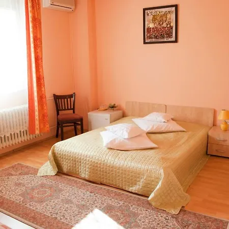 Pensiunea Vlad Timişoara