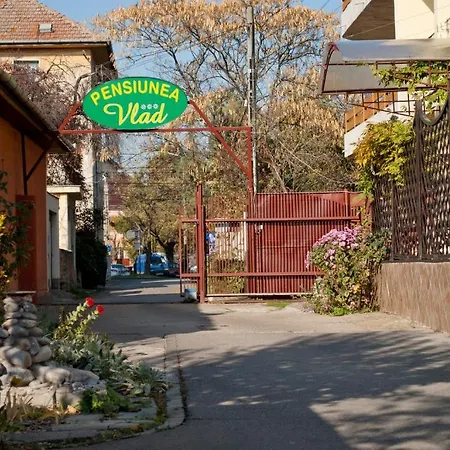 Maison d'hôtes Pensiunea Vlad