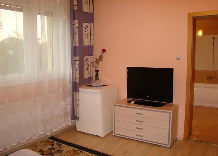 Gasthuis Pensiunea Vlad