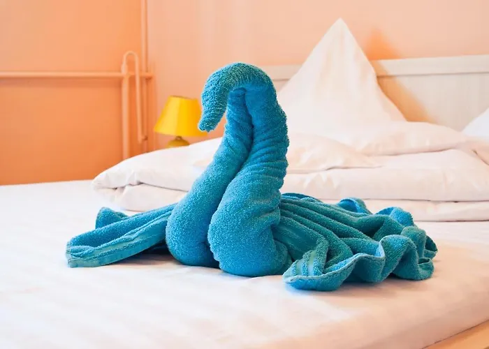 Pensiunea Vlad Gasthuis 3*