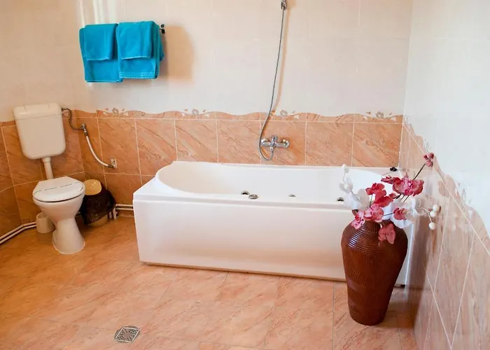 Gasthuis Pensiunea Vlad Timişoara