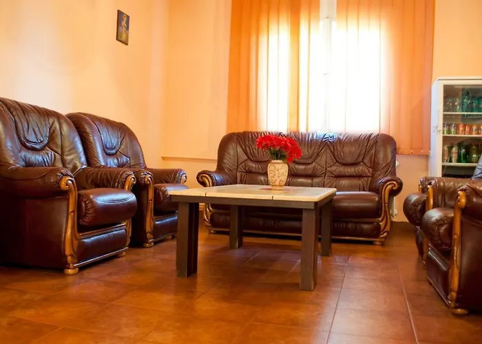 Gasthuis Pensiunea Vlad 3*