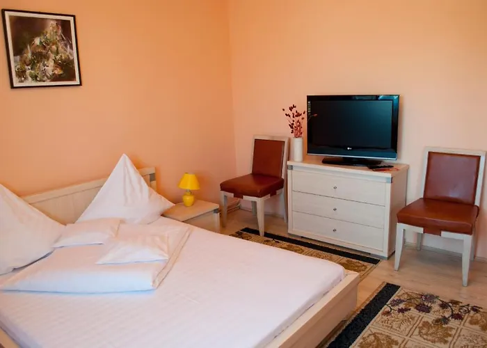 Gasthuis Pensiunea Vlad 3*