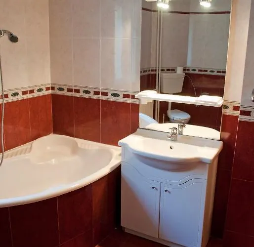 Gasthuis Pensiunea Vlad Timişoara