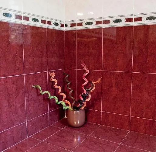 Pensiunea Vlad Gasthuis Timişoara