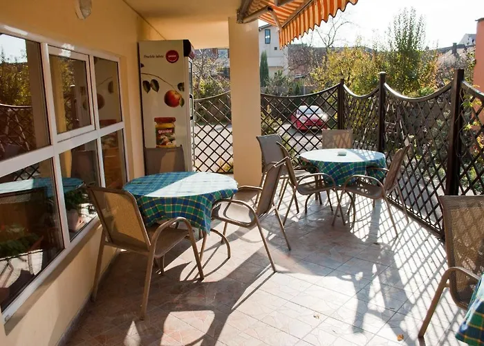 Gasthuis Pensiunea Vlad Timişoara