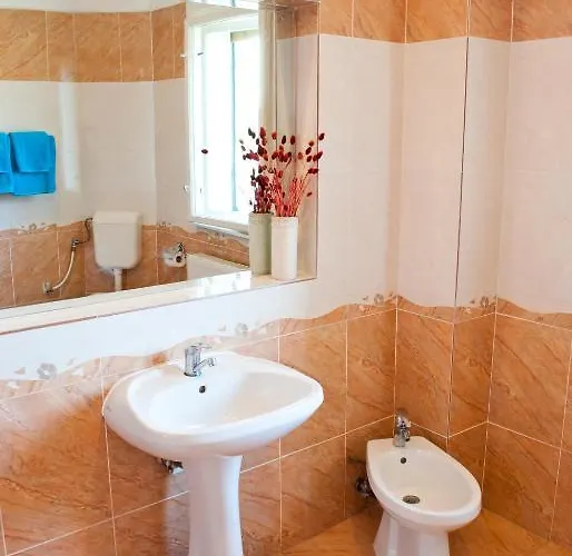 Pensiunea Vlad 3* Timişoara