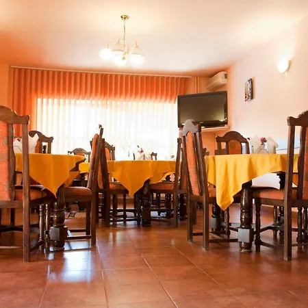 Πανσιόν Pensiunea Vlad