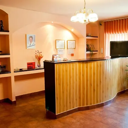 Pensiunea Vlad Πανσιόν Τιμισοάρα