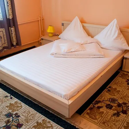 Pensiunea Vlad Πανσιόν 3*