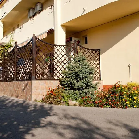 Pensiunea Vlad Timisoara