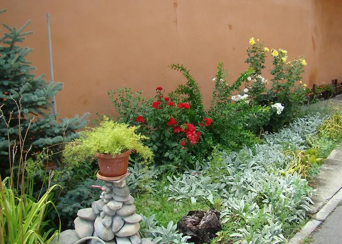 Penzion Pensiunea Vlad