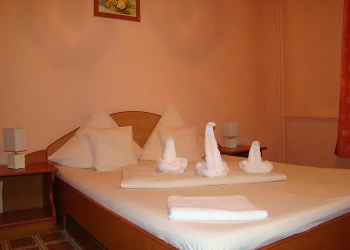 Pensiunea Vlad Temešvár