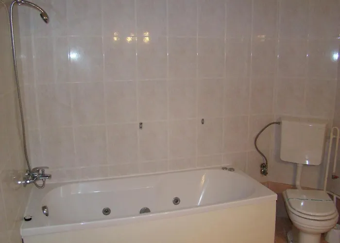 Pensiunea Vlad Penzion 3*