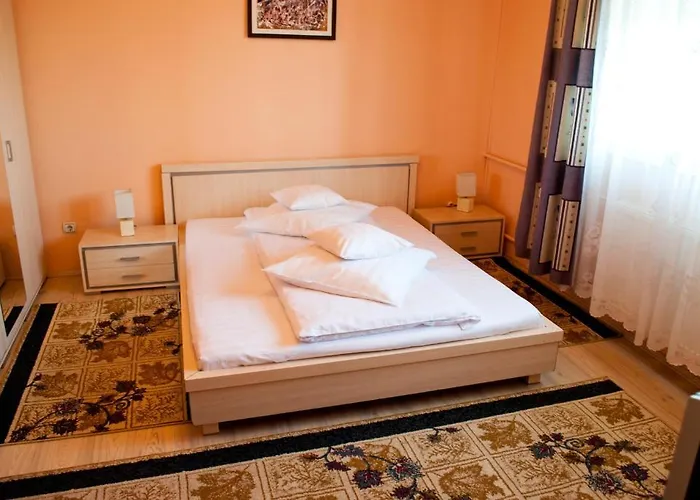 Pensiunea Vlad 3* Temešvár