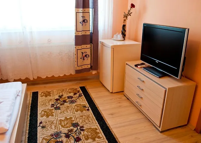 Pensiunea Vlad Penzion Temešvár