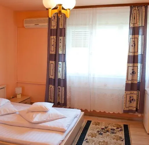 Pensiunea Vlad 3* Temešvár