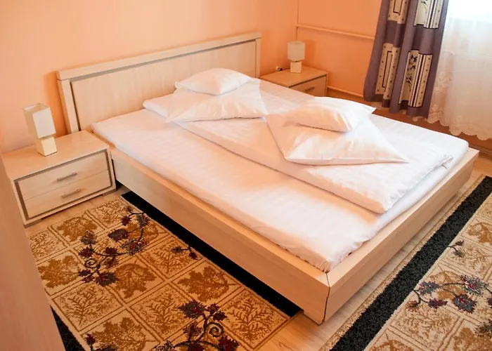 Penzion Pensiunea Vlad