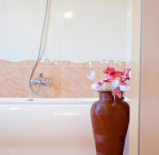 Pensiunea Vlad Penzion