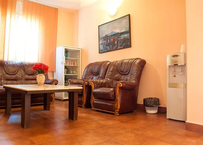 Penzion Pensiunea Vlad Temešvár