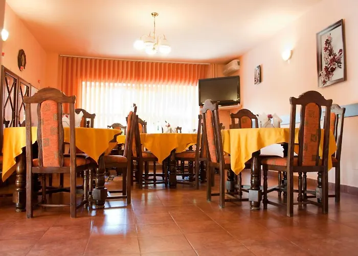 Penzion Pensiunea Vlad