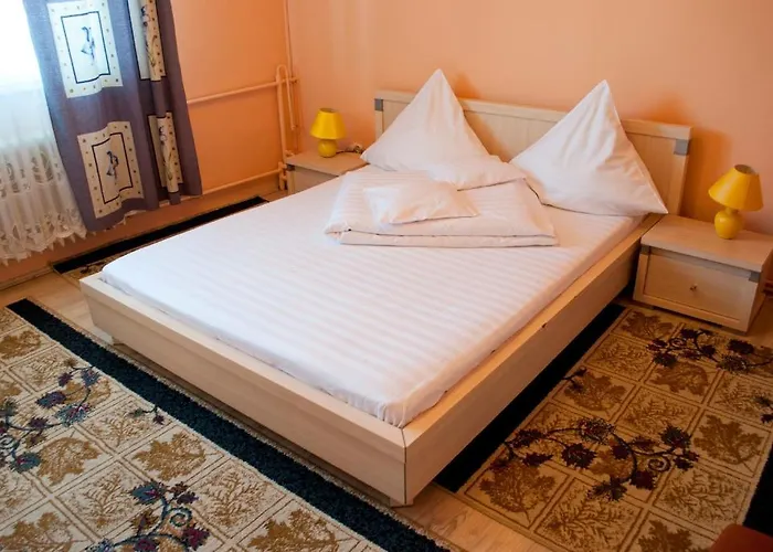 Pensiunea Vlad Penzion 3*