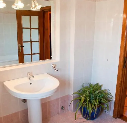 Penzion Pensiunea Vlad