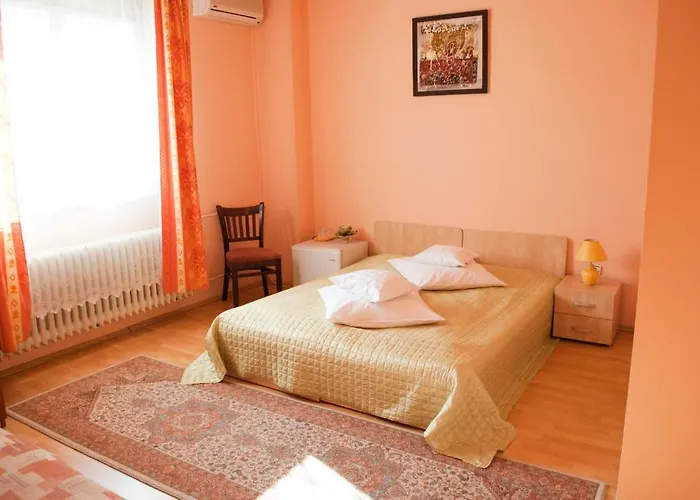 Pensiunea Vlad Temešvár